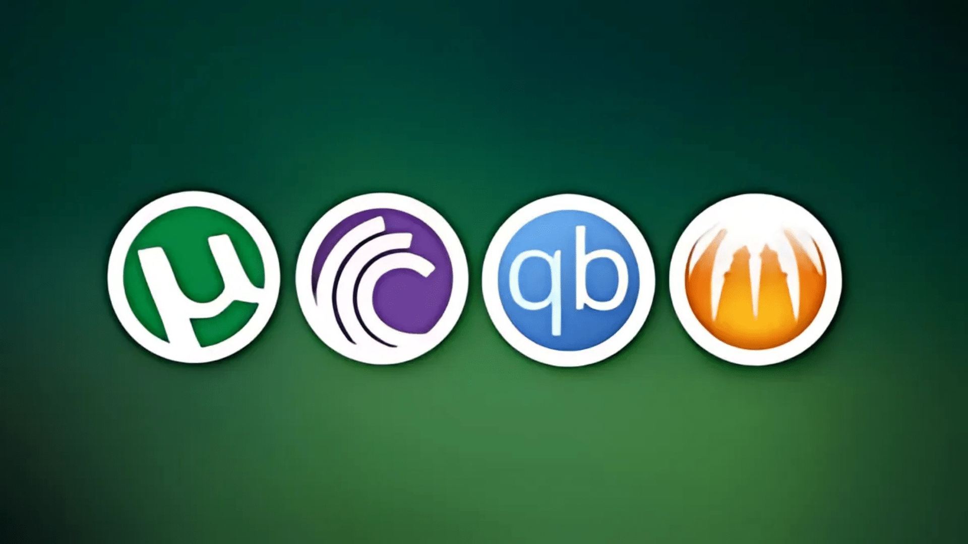 How to Use Torrents Effectively